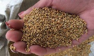 梦见长白头发是什么意思 梦见长白头发有什么预兆