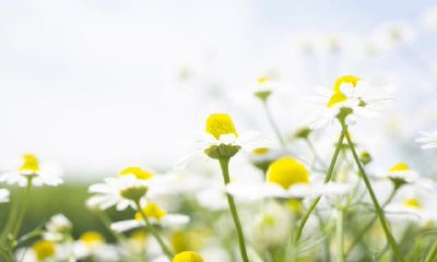 有关双鱼座的恋爱观,你掌握多少?