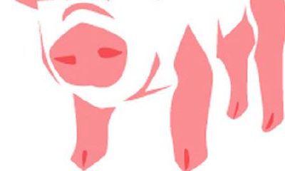 十二生属与不一样血形的性情:肖猪