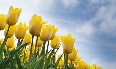 2022年农历四月初三老黄历宜忌,今天日子好吗?