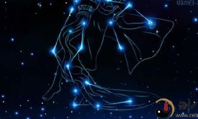 十二星座十大性格~水瓶座