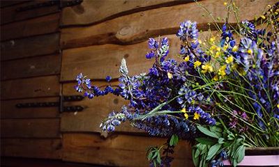 小寒不能吃的食物是哪三样?小寒吃什么养生