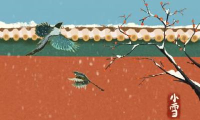 白露为什么要吃鸭子?白露节气吃鸭有什么好处?