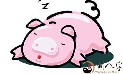 生肖猪这三个年份出生的人,都是富贵命,一生不愁吃不愁穿