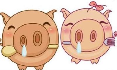 如家里有属猪的人,对你说究竟有多么好