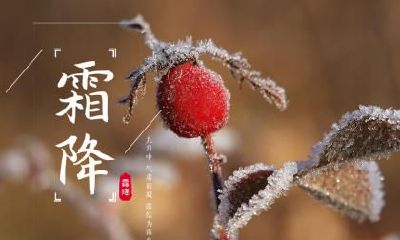 霜降节气出生的属鸡宝宝命运运势分析