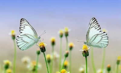 2021年跟金牛座相克的星座,一起工作或恋爱,都会带来伤害