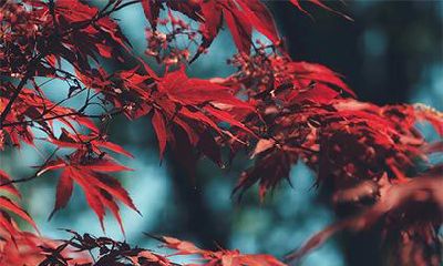 2022年农历八月哪天搬家乔迁最适宜?