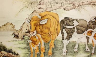 从狂野的牛到好运气的牛,十二生肖的老二,“牛设”是怎么立站起的