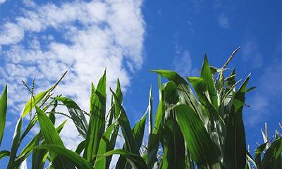 2022年农历八月装修房子吉日一览表,装修风水小知识