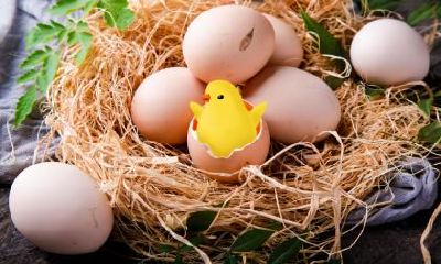 1957年属鸡的文昌贵人是谁?属什么?