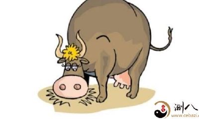 属牛的人财运向来比较平稳,而且属牛人比较善于守财