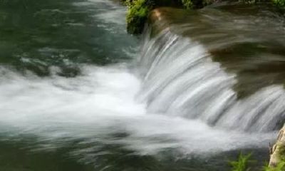 伤官无财,聪明的贫人