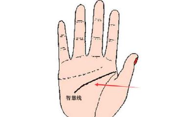 有这几类掌纹特点的人,与生俱来财气充沛,财源滚滚