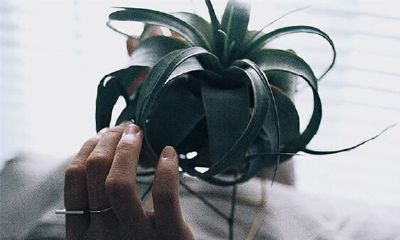 属相虎的幸运色、旺财饰品、相冲生肖原来是这一