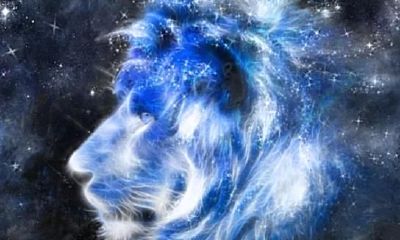 最顶级的浪漫是好好生活,最深情的星座是狮子大王