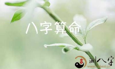 完全免费算命八字算终生,终生运程分析