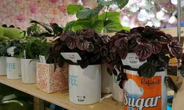 梦见在美术馆或博物馆约会是什么意思