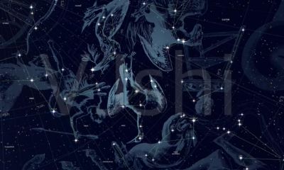 不好色,却容易出轨的星座女