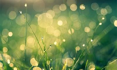 2022年农历五月份女虎宝宝五行属什么?怎么起名?