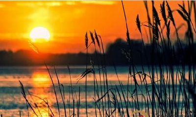 生肖属鸡的贵人和小人是谁?