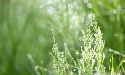 2019年处暑出生五行缺火的男宝宝怎么起名?