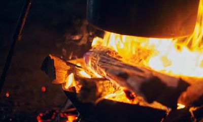 2019年处暑出生的男孩(五行缺土)适合什么样的名字