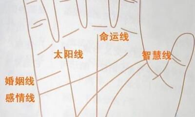 心理学专家:有着这六种掌纹的人具备招灵的工作能力