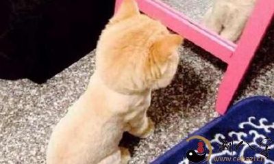 梦见别人送浴室镜子帮我