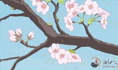 宅家也可以招桃花、斩桃花运的操作步骤!