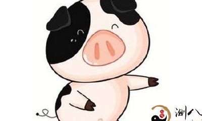 属猪的人出生在这个时辰,既有幸福又有辛酸坎坷!