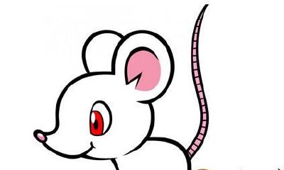 属鼠的工作、财气及其婚姻生活