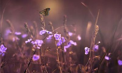 喜用神木火土的男宝宝名字 起什么名字寓意好