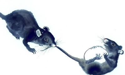 十二生肖人生道路运势详细说明!各个都有所长,努力已有吉祥如意!