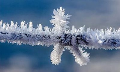 三月初三上巳节出生的属鸡人命运怎么样?是好命吗?