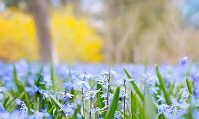2020年鼠年正月初八出生的女孩五行缺金起名用什么字?