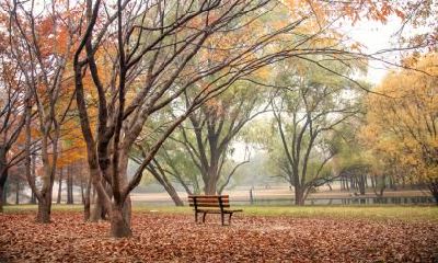 属虎立秋出生好吗?生在什么季节的老虎好?