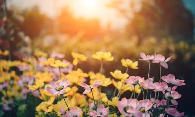 和水瓶座相处,必须把握什么方法?