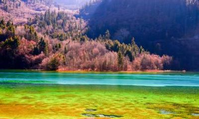 2021年立秋出生的属相是什么?命运好不好?