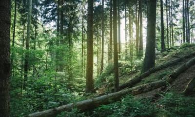 2021年立秋出生的男孩好吗?五行是什么命?