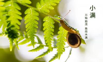 2022年小满日子好吗?什么是小满会?