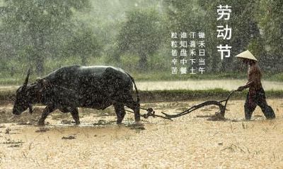 五一劳动节是怎么来的?五一高速免费什么时候开始?