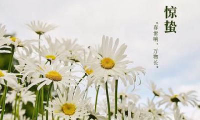 2022虎年惊蛰节气那天几点几分是惊蛰时辰?