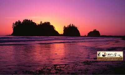 99年属相兔女2022学业