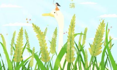 2021辛丑牛年农历九月十八日霜降节气出生男孩命好吗?