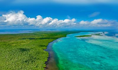 立春出生的兔宝宝好么2023年