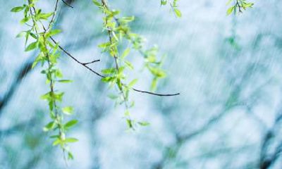 2020年春分如何养生?春分养生注意事项?