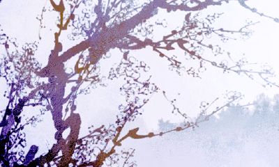 2023年的反月初五生孩子