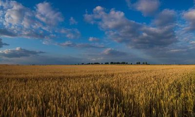 高度自律的摩羯座,想不获取成功都难