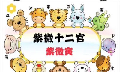 紫微12大格局——紫薇在寅,2020年紫微流年运程!